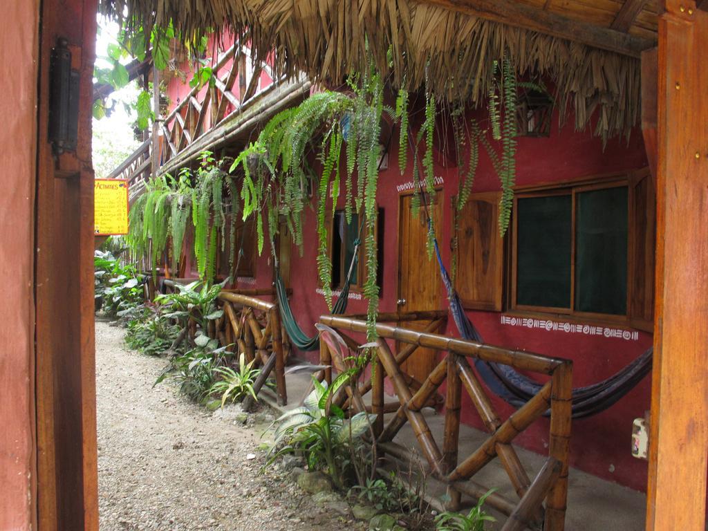 Hostal Mamacucha Montañita Kültér fotó